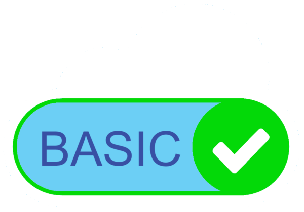 Basic Subscription