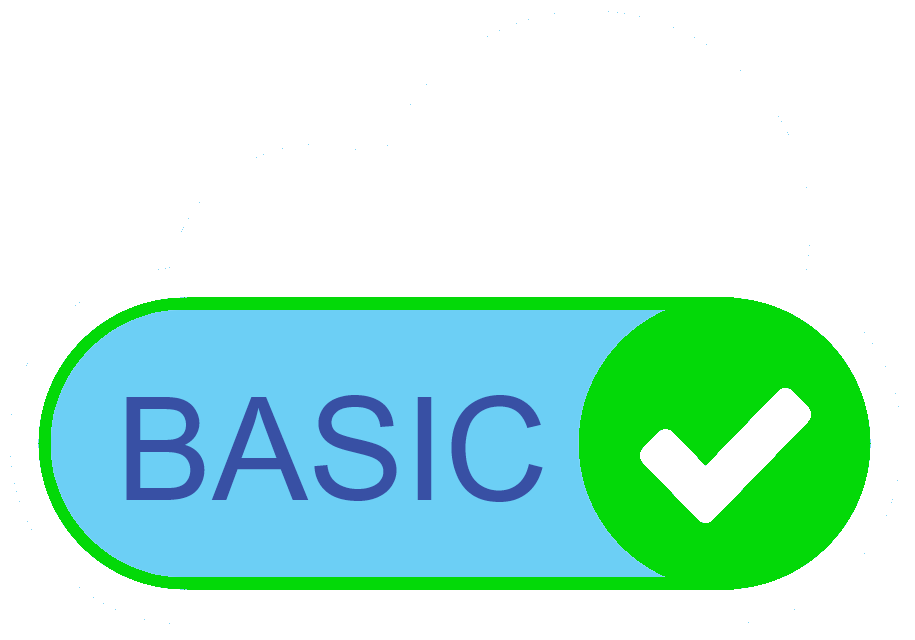 Basic Subscription