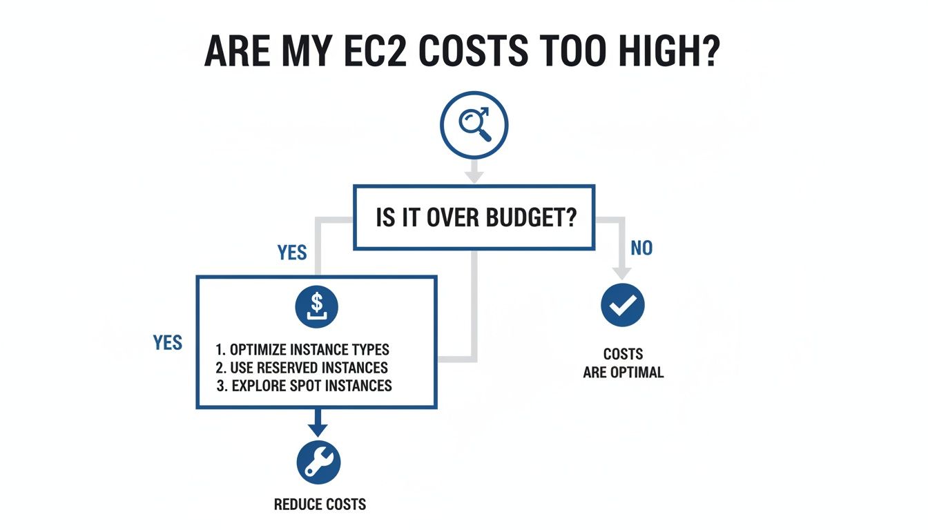 Flowchart explaining how to optimize Amazon EC2 costs by checking budget and suggesting optimization strategies.